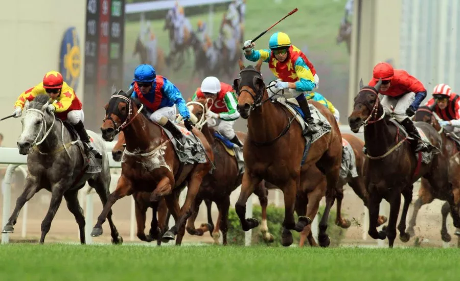 賽馬貼士｜專業高手的賭馬心得、賽馬投注技巧大公開！|